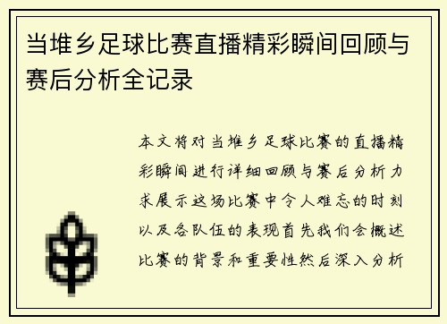 当堆乡足球比赛直播精彩瞬间回顾与赛后分析全记录